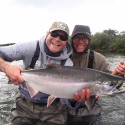 Kanektok River fishing produced this nice salmon.