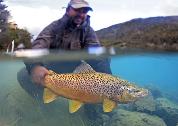 Catch and Release Fishing