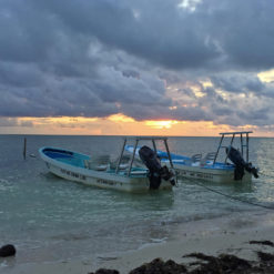 You will start each morning by walking 50 feet from your cabin to your panga to begin your day of fishing.