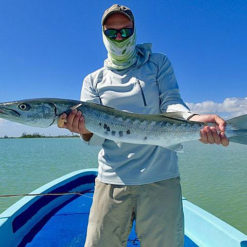 Barracuda