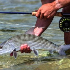 The lodge is in the small fishing town of Punta Allen – epicenter of the Ascension Bay fishery.