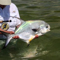 The guides are serious permit hunters, so while there are plenty bonefish, many anglers at the lodge are there to target permit.