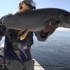 For a few glorious weeks we offer exceptional fishing for trophy lake trout on Aylmer Lake in Canada’s Northwest Territories.