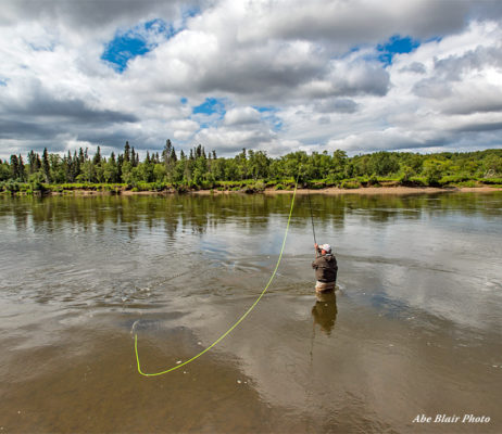 Fly Fishing Guides