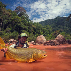 If you’re looking for a fishing adventure that few others will ever experience, Golden Dorado fishing Bolivia is a jungle adventure like none other.