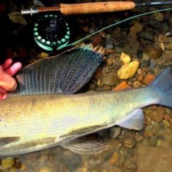 Our guests range from first-time anglers to expert world-travelers.