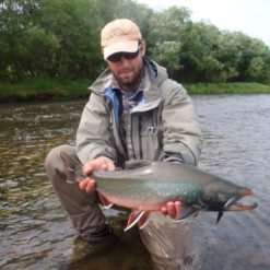 A beauty of a Dolly Varden