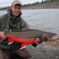 Most of our guests like catching a variety of fish species – all season long we have trout, dolly varden and grayling available, and various salmon species as well