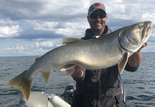 Trophy lake trout fishing on Lake Athabasca