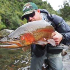 New Zealand Back Country Fly Fishing