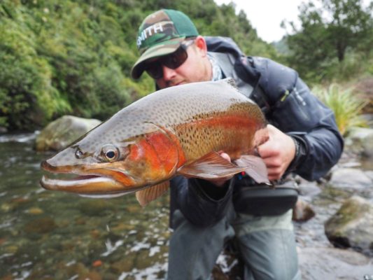 New Zealand Back Country Fly Fishing