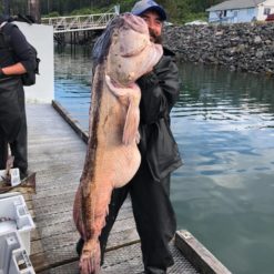Consisting of over 150 islands at the most westerly point of Northern British Columbia, Haida Gwaii is Canada's best kept West Coast secret.