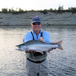 In Bristol Bay and the Alagnak River they spawn in numbers only on even-numbered years.
