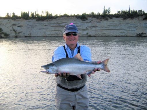 In Bristol Bay and the Alagnak River they spawn in numbers only on even-numbered years.