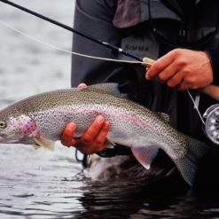 The Alagnak River drainage is one of the best locations for rainbows in Bristol Bay and Alaska.