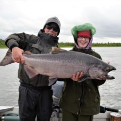 As the Kings Salmon assimilate to the fresh water their body starts to deteriorate as they prepare to spawn.