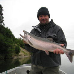 These Silver Salmon are effectively targeted using fly or spin fishing gear while wade fishing or fishing from the boat.