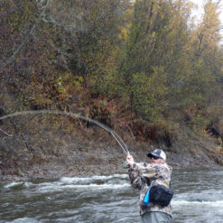 Most fish are hooked in 2-3 feet of water and even less than a foot as the season grows longer. Because the river is so shallow by nature, it offers the aspiring two-handed spey fisherman an almost guaranteed opportunity to hook their first steelhead on the swing.