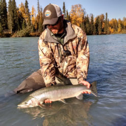 These rivers are highly coveted by local anglers and guides including Alaska Steelhead Co. and we intend to keep them as pristine and special as possible.