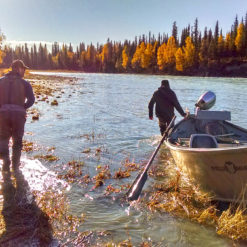 Swinging can be done effectively with a single-handed rod, although we do prefer to swing with switch rods using smaller sinking tips or weighted flies.