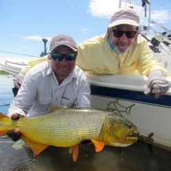 Argentina Golden Dorado fly fishing