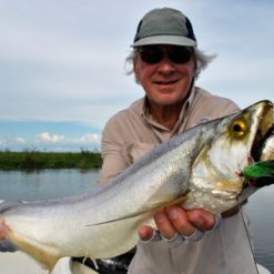 Besides targeting Golden Dorado, there is also the added bonus of fishing other exciting fish too like Pacu, Pira Pita, Tararira, Surubi, Chafalote, and other freshwater species, which provide fantastic sport.