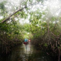 Exploring the jungles of Belize