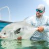 A permit can be the most finicky of all the target species down in Belize as even a well-presented fly can get the eye of rejection from a feeding permit.