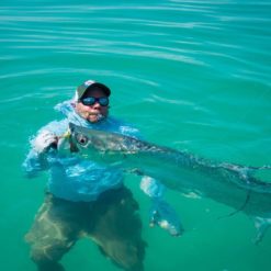 Huge tarpon