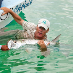 Belize tarpon