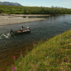 Two of Alaska’s most renowned fisheries, The Agulawok and Agulukpak Rivers are ‘home-waters’ for Bristol Bay Lodge.