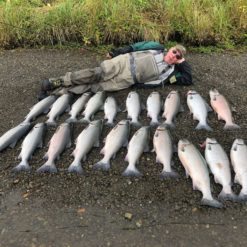Both Togiak River camps are near several smaller tributaries, and when the conditions are right, they offer excellent small-water fishing for rainbow trout, Dolly Varden, and silver salmon.