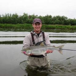 Our clients’ fish for kings for their size, the sockeye to fill their boxes and the Chum Salmon for the sport and consistent fishing success.