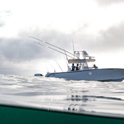 Fishing Charters