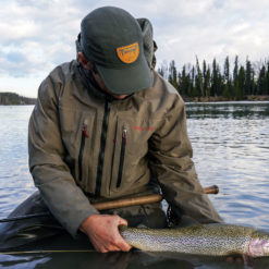 Sockeye Salmon run on the Kenai River