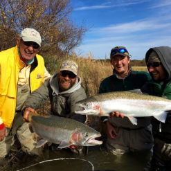 They are pound for pound the best fighting sport fish in the world. If you want to catch a true trophy rainbow at any time.
