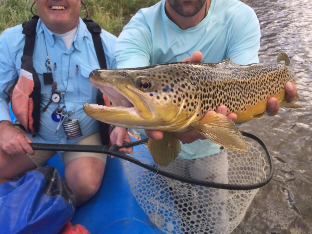 Gunnison River Fly Fishing Float Trips Got Fishing