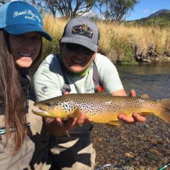 A few fish were caught including one chubby healthy brown trout that tried his hardest to wrap the line around some branches but without success of breaking free.