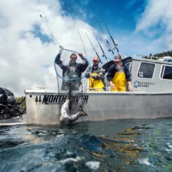 Salmon fishing in Alaska