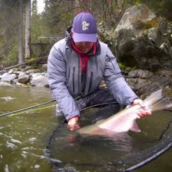 Netting a big steelhead