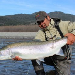 Skeena River Steelhead