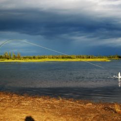 The Alagnak River Reds are among the largest in Alaska.