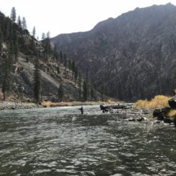 If you’re tired of crowded gravel bars, steelhead Fishing the Salmon River in Idaho should be on your radar.
