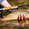 Fishing Big Creek Idaho