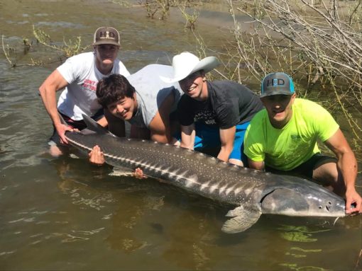 Sturgeon, smallmouth bass, rainbow trout, salmon and steelhead can all be caught, depending on the time of year.