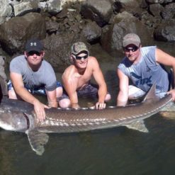 sturgeon fishing