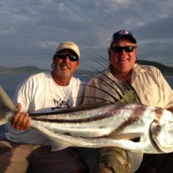 Great roosterfishing